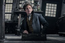 Animali fantastici: i crimini di Grindelwald - Immagine 7