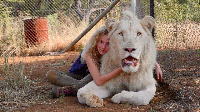 Mia e il leone bianco - Immagine 3