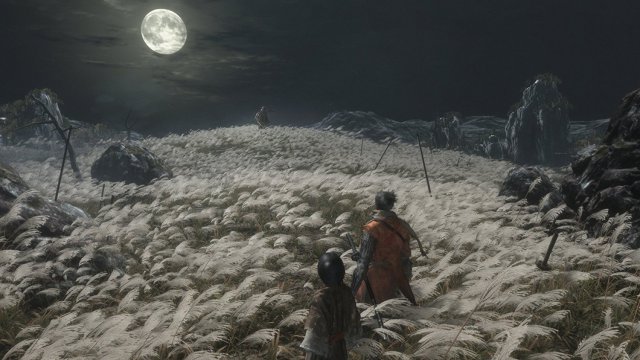 Sekiro: Shadows Die Twice - Immagine 2
