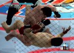 Ultimate Fighting Championship - Immagine 2