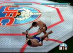 Ultimate Fighting Championship - Immagine 3