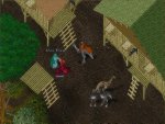 Ultima OnLine The Second Age - Immagine 3