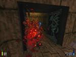 Heretic 2 - Immagine 2