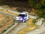 RALLY CHAMPIONSHIP - Immagine 2