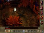 Baldur's Gate II: Shadows of Amn - Immagine 3