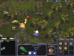 Starcraft - Immagine 1
