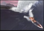 Surfing H30 - Immagine 2