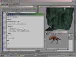The Elder Scrolls: Morrowind - Immagine 4