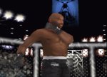 Ultimate Fighting Championship - Immagine 1