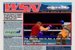 Victory Boxing Contender - Immagine 3