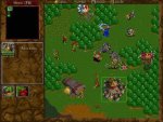 Warcraft III: Reign of Chaos - Immagine 2