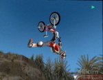 Dave Mirra Freestyle BMX - Immagine 2