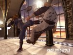 Dead or Alive 3 - Immagine 3