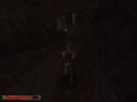 Gothic - Immagine 35