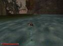 Gothic - Immagine 64