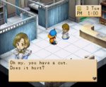 Harvest Moon - Back To Nature - Immagine 3