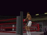 Knockout Kings 2001 - Immagine 1