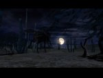 L'Ombra di Zorro - Immagine 3