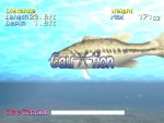 Action Bass - Immagine 3