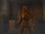 Return to Castle Wolfenstein - Immagine 6