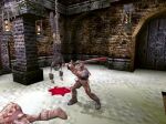 Rune: Viking Warlord - Immagine 4