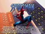 Spider-Man - Immagine 1