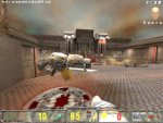 Team Arena - Immagine 4