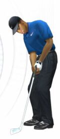 Tiger Woods PGA Tour 2001 - Immagine 22