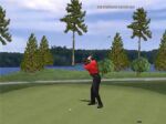Tiger Woods PGA Tour 2001 - Immagine 5