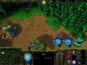 Warcraft III: Reign of Chaos - Immagine 44