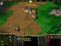 Warcraft III: Reign of Chaos - Immagine 53
