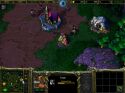 Warcraft III: Reign of Chaos - Immagine 57