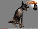 Warhammer online - Immagine 1