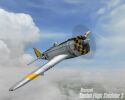 Combat Flight Simulator 3 - Immagine 36