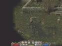 Divine Divinity - Immagine 8