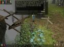 Dungeon Siege - Immagine 40