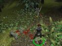 Dungeon Siege - Immagine 41