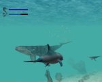 Ecco the Dolphin: Defender of the Future - Immagine 2