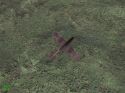 Jane's Attack Squadron - Immagine 13