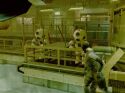 Metal Gear Solid 2: Sons of Liberty - Immagine 2