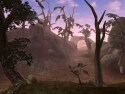 Morrowind - Immagine 19