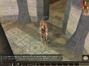 Neverwinter Nights - Immagine 11