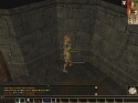 Neverwinter Nights - Immagine 18