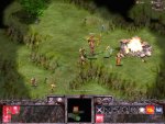 PRIMITIVE WARS - Immagine 2