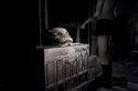 Project Zero - Immagine 11
