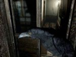 Resident Evil - Immagine 11
