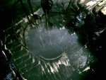 Resident Evil - Immagine 13