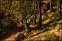 Robin Hood - Immagine 2
