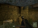 Soldier of Fortune II: Double Helix - Immagine 15