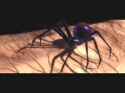 Spider-Man: The Movie - Immagine 2